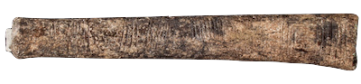 The Ishango Bone